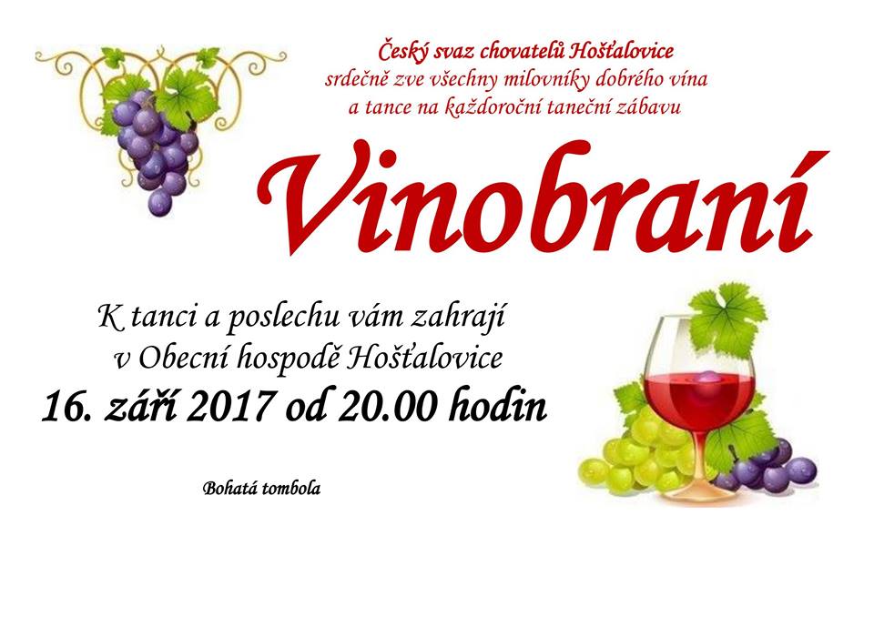 vinobrani2017.jpg